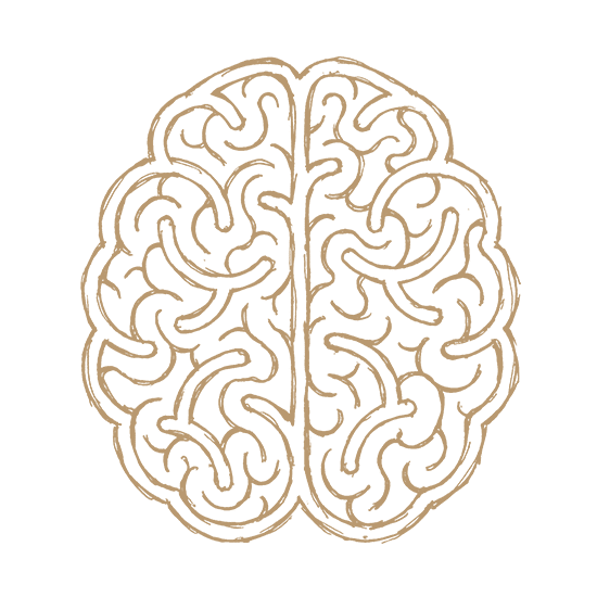 full life brain